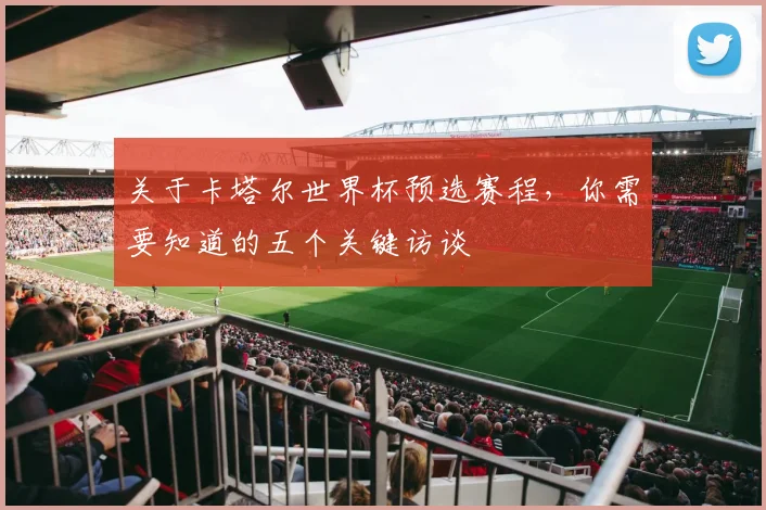 关于卡塔尔世界杯预选赛程，你需要知道的五个关键访谈