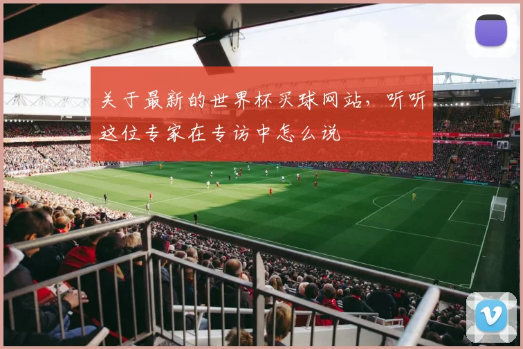关于最新的世界杯买球网站，听听这位专家在专访中怎么说