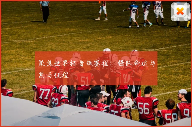 聚焦世界杯晋级赛程：强队命运与黑马征程