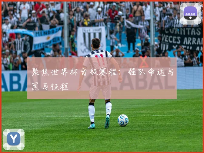 聚焦世界杯晋级赛程：强队命运与黑马征程