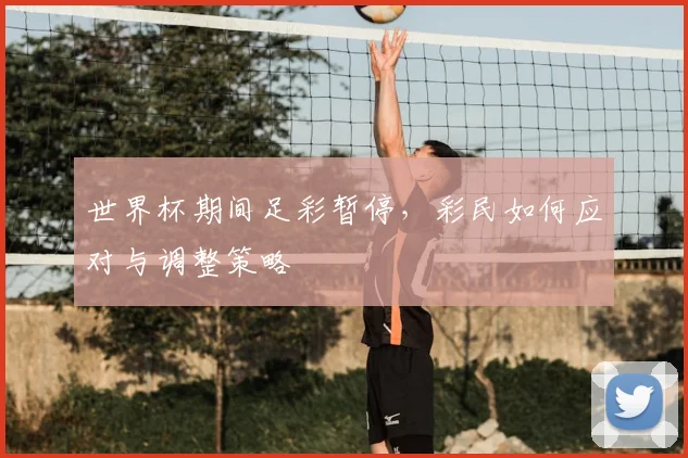 世界杯期间足彩暂停，彩民如何应对与调整策略