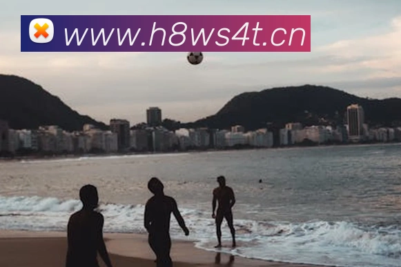 星空体育官网登陆平台生态图